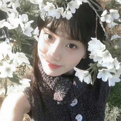金车美人